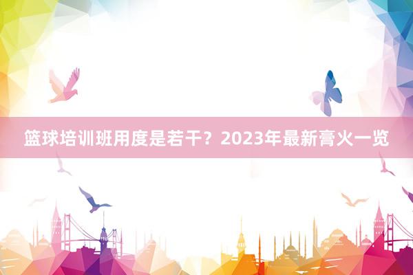 篮球培训班用度是若干？2023年最新膏火一览